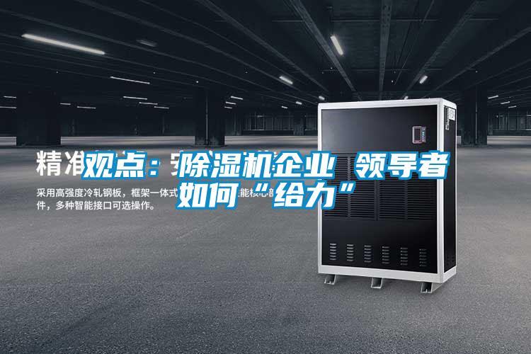 觀點(diǎn):除濕機(jī)企業(yè) 領(lǐng)導(dǎo)者如何“給力”