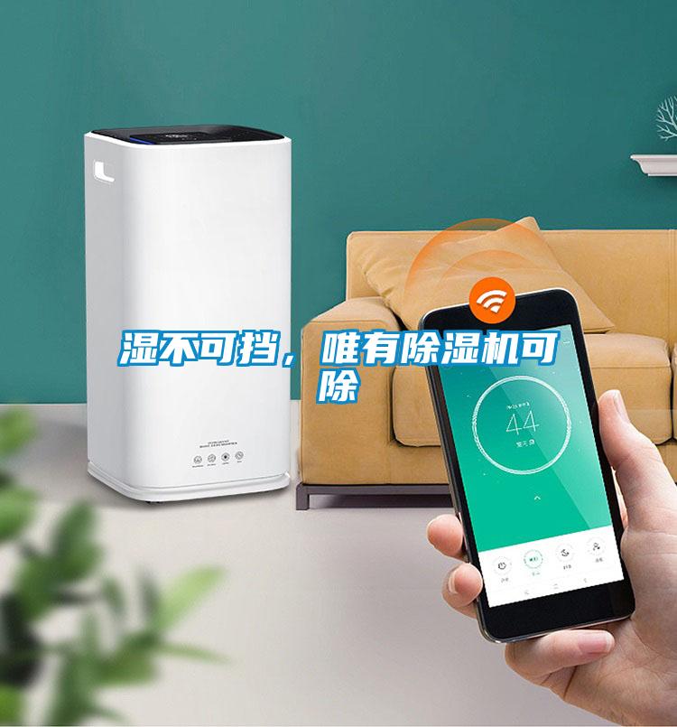 濕不可擋，唯有除濕機(jī)可除