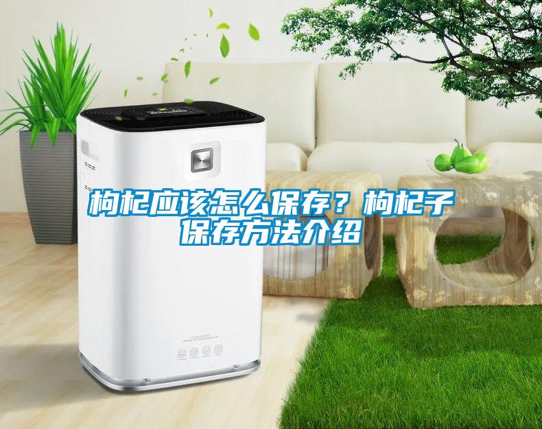 枸杞應(yīng)該怎么保存？枸杞子保存方法介紹