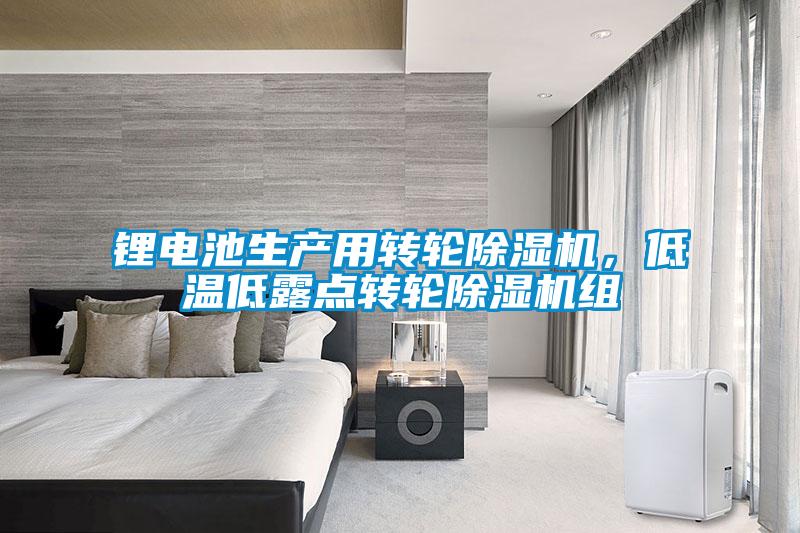鋰電池生產(chǎn)用轉(zhuǎn)輪除濕機,低溫低露點轉(zhuǎn)輪除濕機組