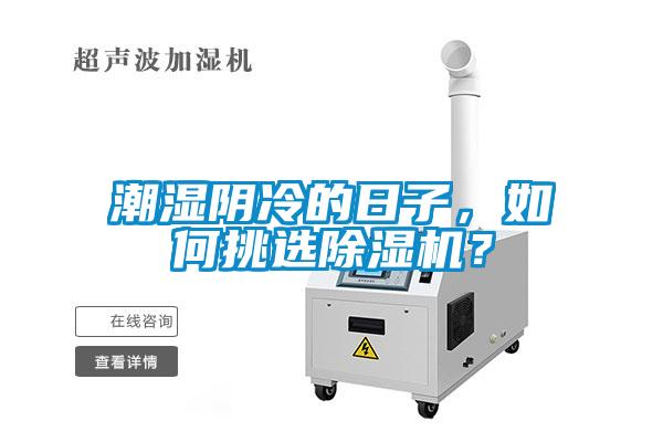 潮濕陰冷的日子，如何挑選除濕機？