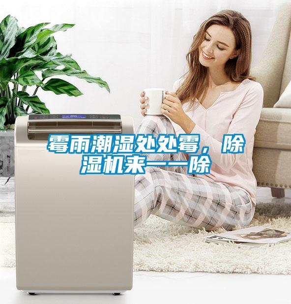 霉雨潮濕處處霉，除濕機(jī)來一一除