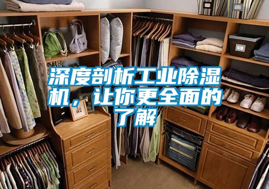 深度剖析工業(yè)除濕機(jī)，讓你更全面的了解
