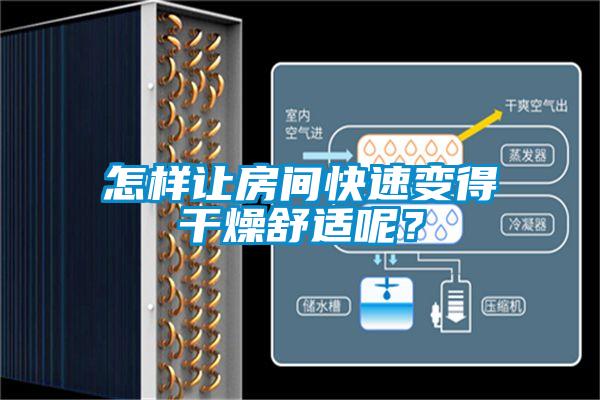 怎樣讓房間快速變得干燥舒適呢？
