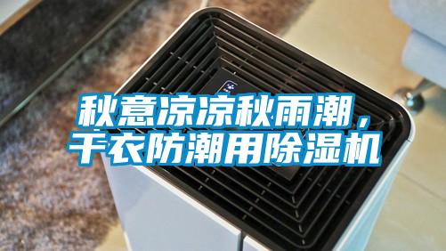 秋意涼涼秋雨潮，干衣防潮用除濕機