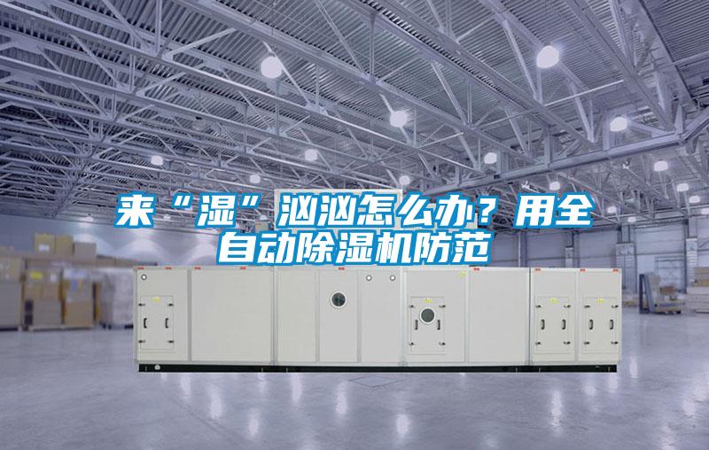 來“濕”洶洶怎么辦？用全自動除濕機防范