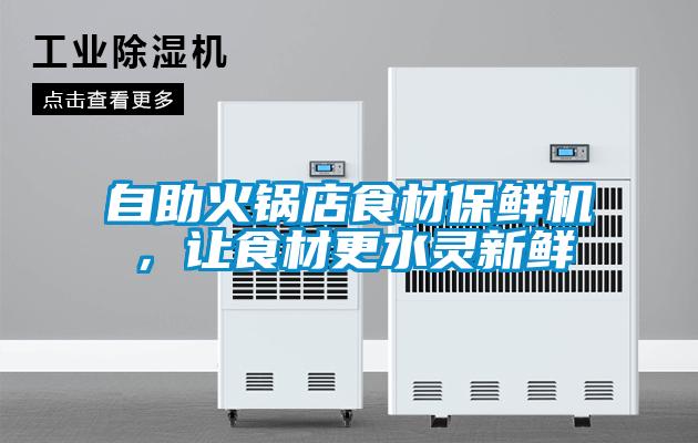 自助火鍋店食材保鮮機，讓食材更水靈新鮮