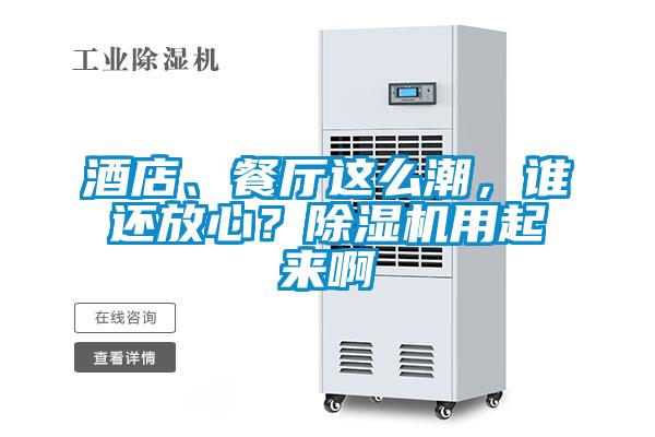 酒店、餐廳這么潮，誰(shuí)還放心？除濕機(jī)用起來(lái)啊