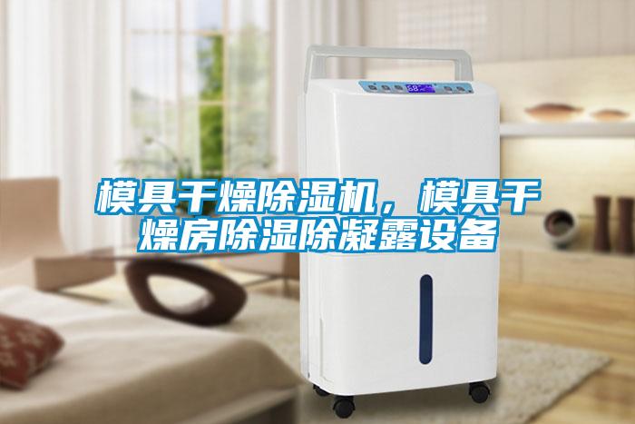 模具干燥除濕機(jī)，模具干燥房除濕除凝露設(shè)備