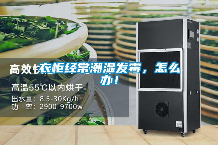 衣柜經(jīng)常潮濕發(fā)霉，怎么辦！