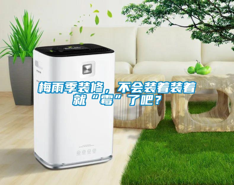 梅雨季裝修，不會裝著裝著就“霉”了吧？