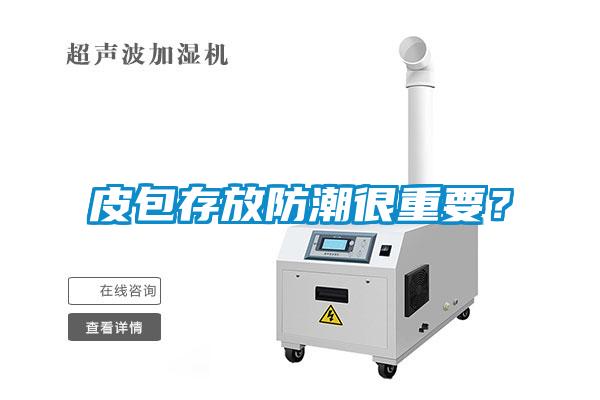 皮包存放防潮很重要？