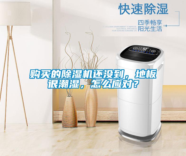 購買的除濕機還沒到，地板很潮濕，怎么應對？