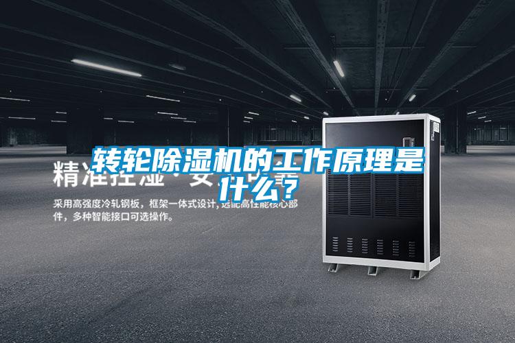 轉(zhuǎn)輪除濕機的工作原理是什么？
