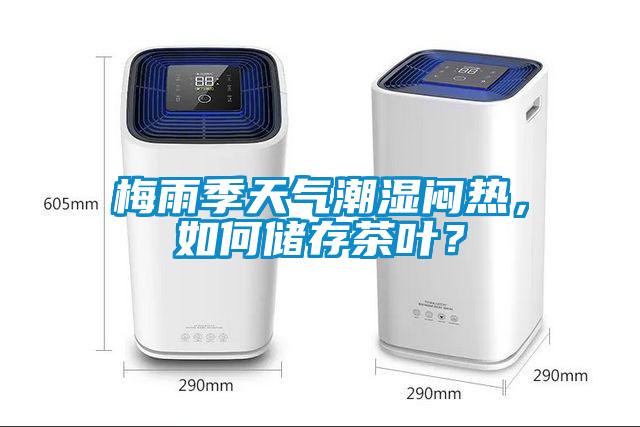 梅雨季天氣潮濕悶熱，如何儲存茶葉？