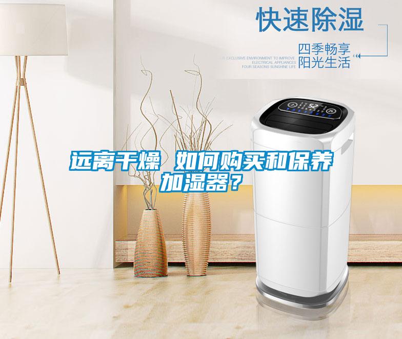 遠(yuǎn)離干燥 如何購買和保養(yǎng)加濕器？
