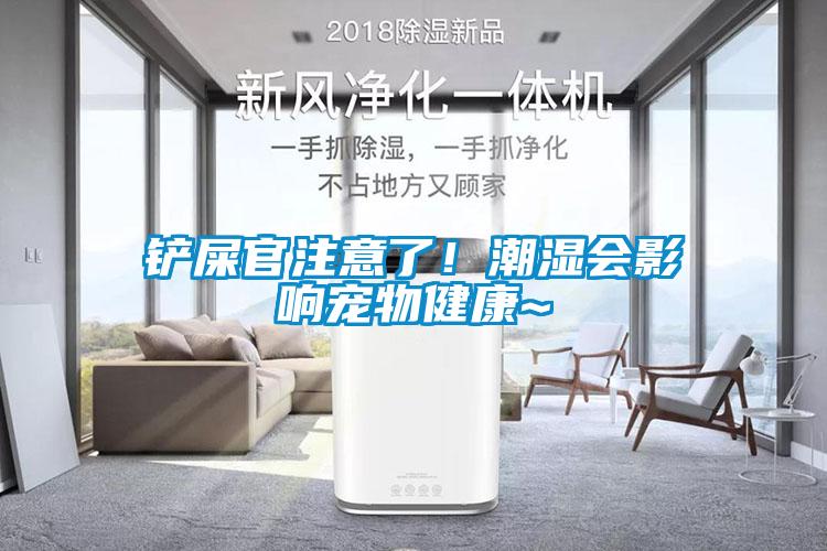 鏟屎官注意了！潮濕會(huì)影響寵物健康~