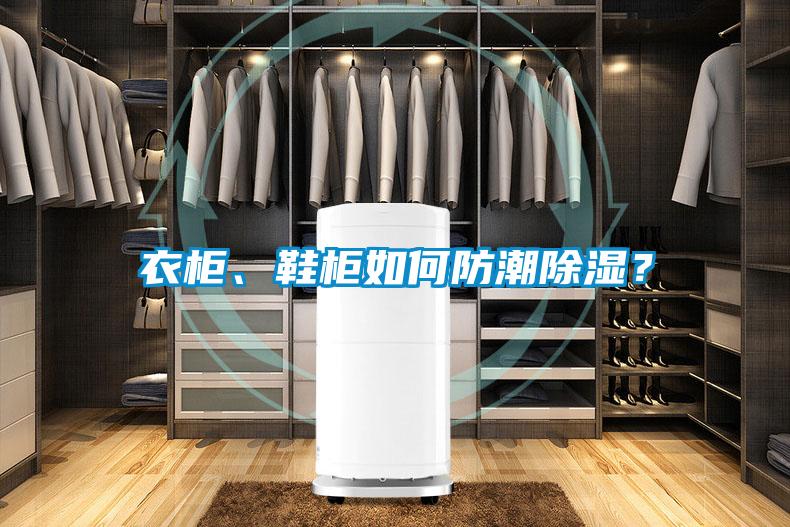 衣柜、鞋柜如何防潮除濕？