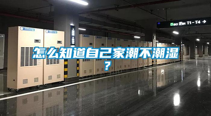 怎么知道自己家潮不潮濕？