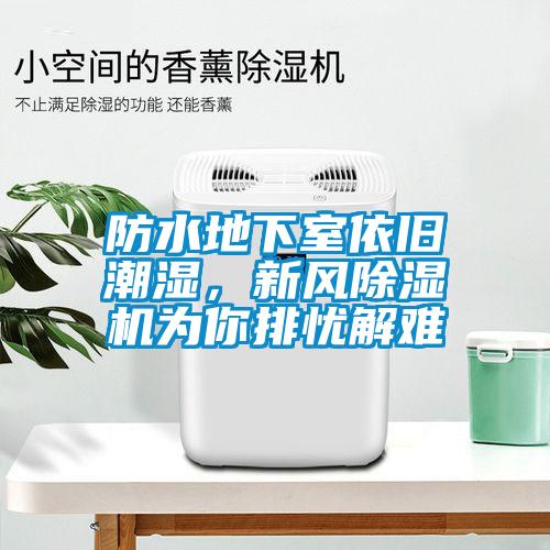 防水地下室依舊潮濕，新風(fēng)除濕機為你排憂解難