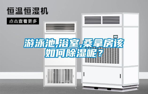 游泳池,浴室,桑拿房該如何除濕呢？