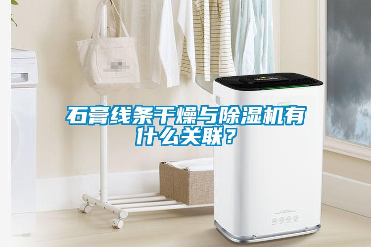 石膏線條干燥與除濕機(jī)有什么關(guān)聯(lián)？