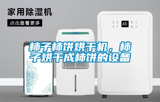柿子柿餅烘干機，柿子烘干成柿餅的設備