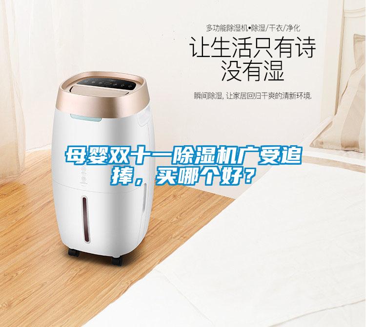 母嬰雙十一除濕機(jī)廣受追捧，買(mǎi)哪個(gè)好？