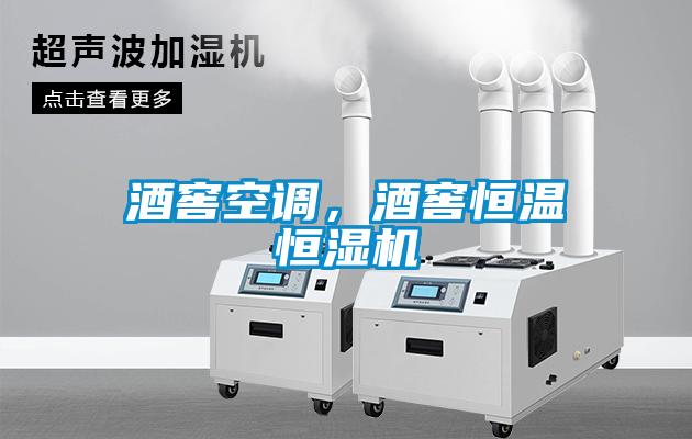 酒窖空調(diào)，酒窖恒溫恒濕機(jī)