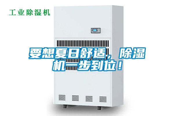 要想夏日舒適，除濕機(jī)一步到位！