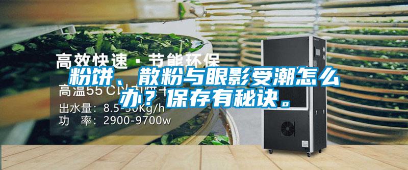 粉餅、散粉與眼影受潮怎么辦？保存有秘訣。