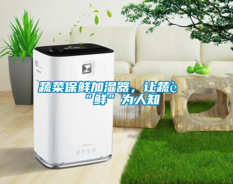 蔬菜保鮮加濕器，讓蔬菜“鮮”為人知