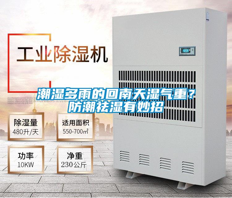 潮濕多雨的回南天濕氣重？防潮祛濕有妙招