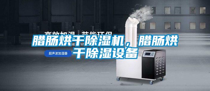 臘腸烘干除濕機，臘腸烘干除濕設(shè)備
