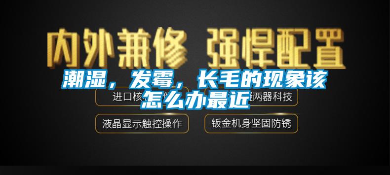 潮濕，發(fā)霉，長毛的現(xiàn)象該怎么辦最近