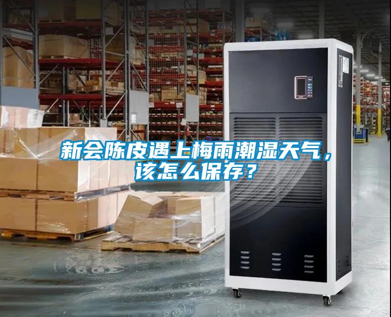 新會陳皮遇上梅雨潮濕天氣，該怎么保存？