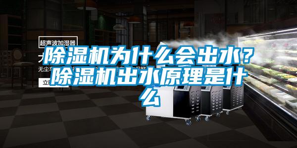 除濕機(jī)為什么會(huì)出水？除濕機(jī)出水原理是什么