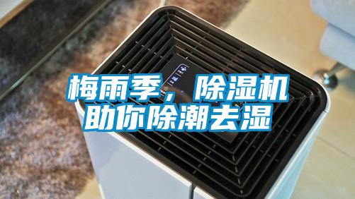 梅雨季，除濕機(jī)助你除潮去濕