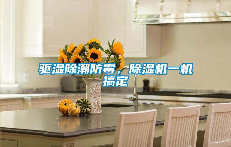 驅(qū)濕除潮防霉，除濕機一機搞定