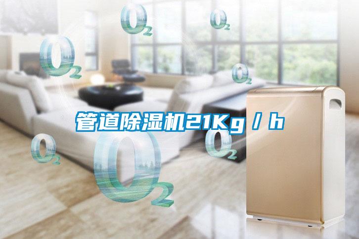 管道除濕機(jī)21Kg/h