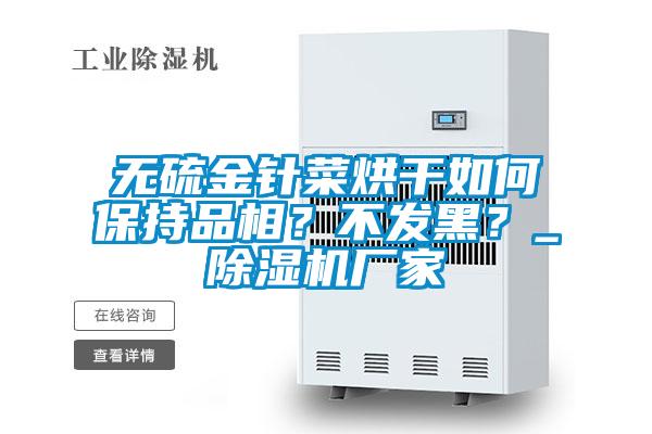 無硫金針菜烘干如何保持品相？不發(fā)黑？_除濕機廠家