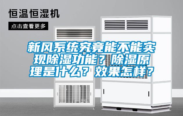 新風(fēng)系統(tǒng)究竟能不能實現(xiàn)除濕功能？除濕原理是什么？效果怎樣？