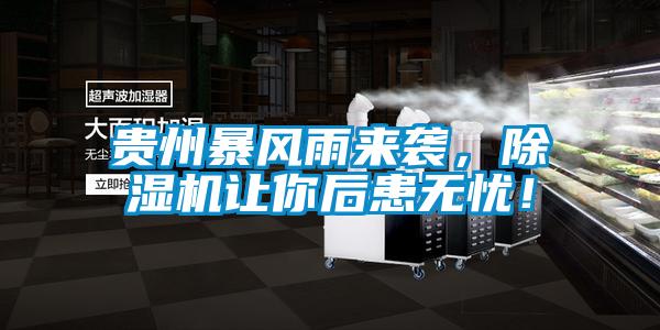 貴州暴風(fēng)雨來襲，除濕機(jī)讓你后患無憂！