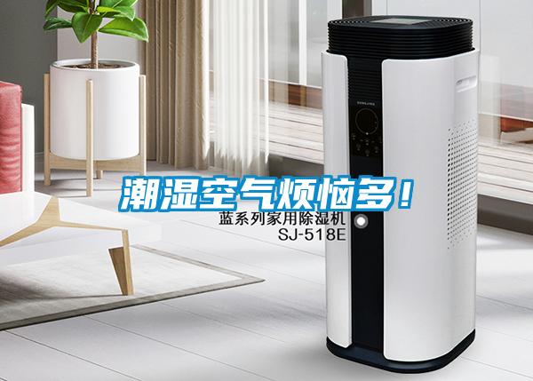 潮濕空氣煩惱多！