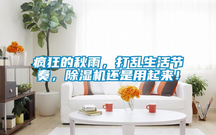 瘋狂的秋雨，打亂生活節(jié)奏，除濕機(jī)還是用起來！
