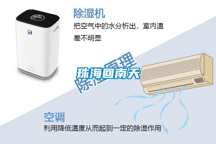 珠?；啬咸?></div>
								<div   id=