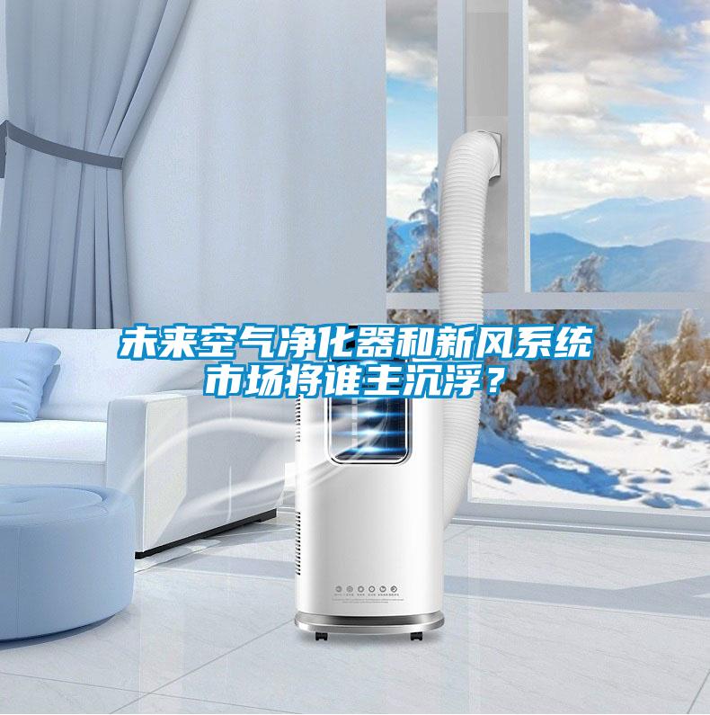 未來(lái)空氣凈化器和新風(fēng)系統(tǒng)市場(chǎng)將誰(shuí)主沉浮？
