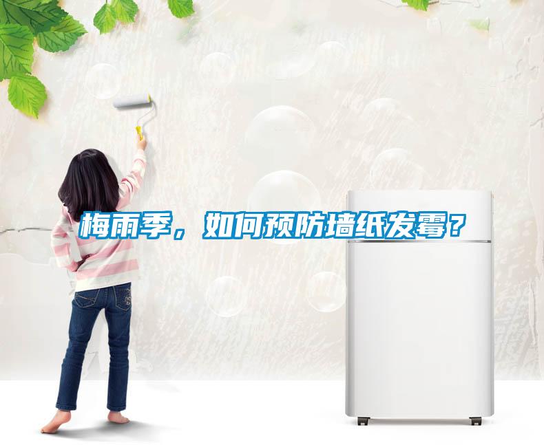梅雨季，如何預(yù)防墻紙發(fā)霉？