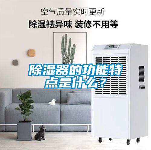 除濕器的功能特點(diǎn)是什么？
