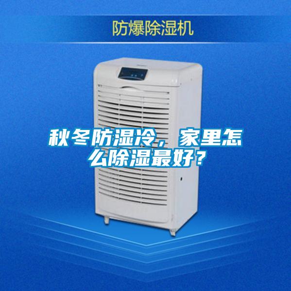 秋冬防濕冷，家里怎么除濕最好？